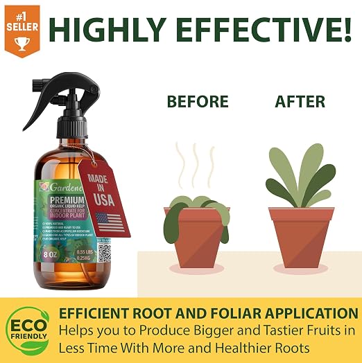 BONSAI TREES