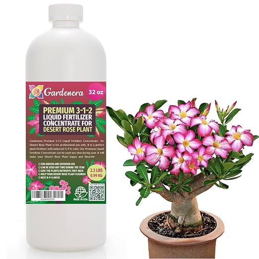 DESERT ROSE