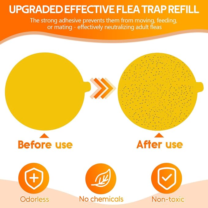 Yellow 12 Refills
