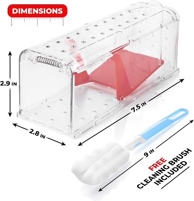 Transparent/Red