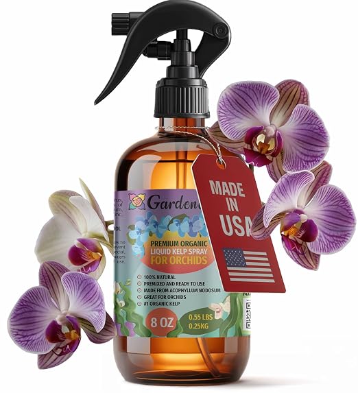 ORCHID