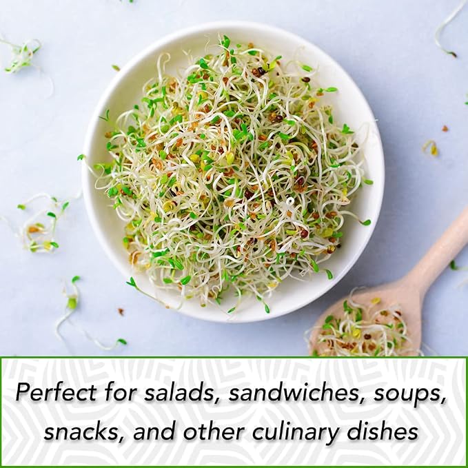 Organic Alfalfa