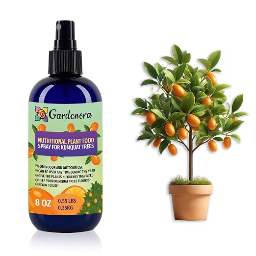 KUMQUAT