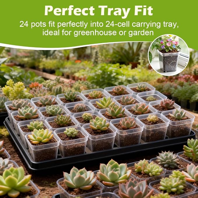 Clear Pot+domes 60p
