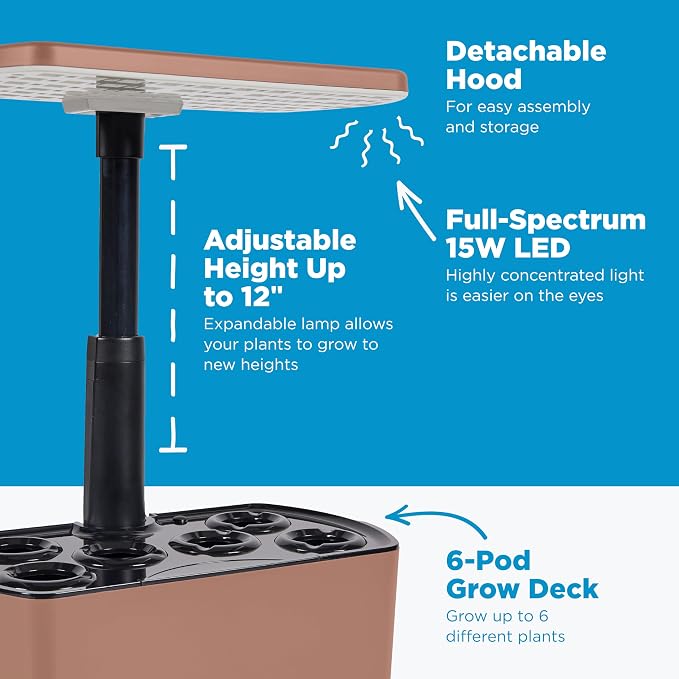 Mocha
