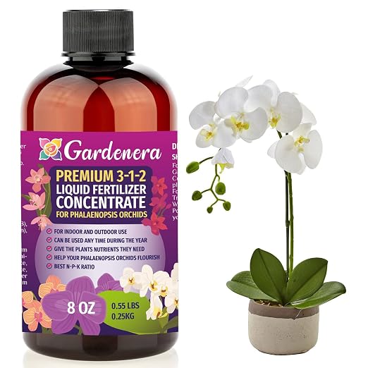 PHALAENOPSIS