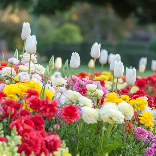 __DEFAULT__
