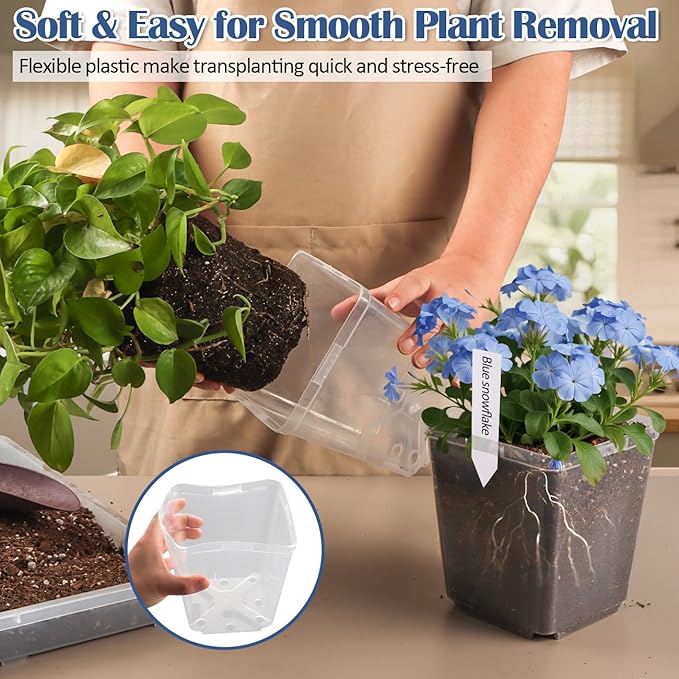 Clear Pot+lable-30p