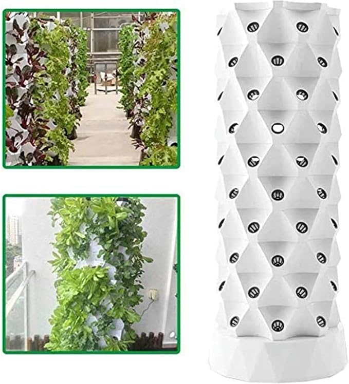 6layers