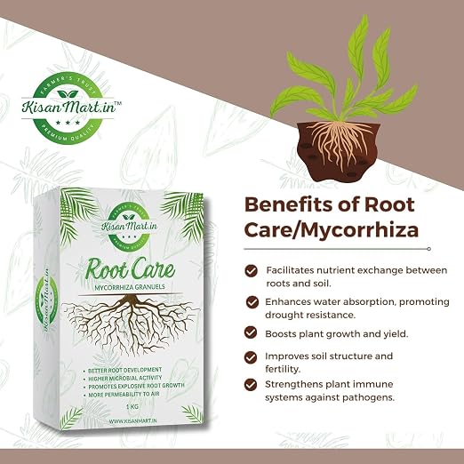 Root Care
