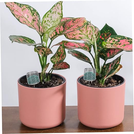 Silverx2pcs