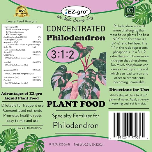 Philodendron