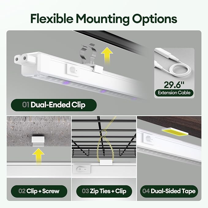 Red+Purple