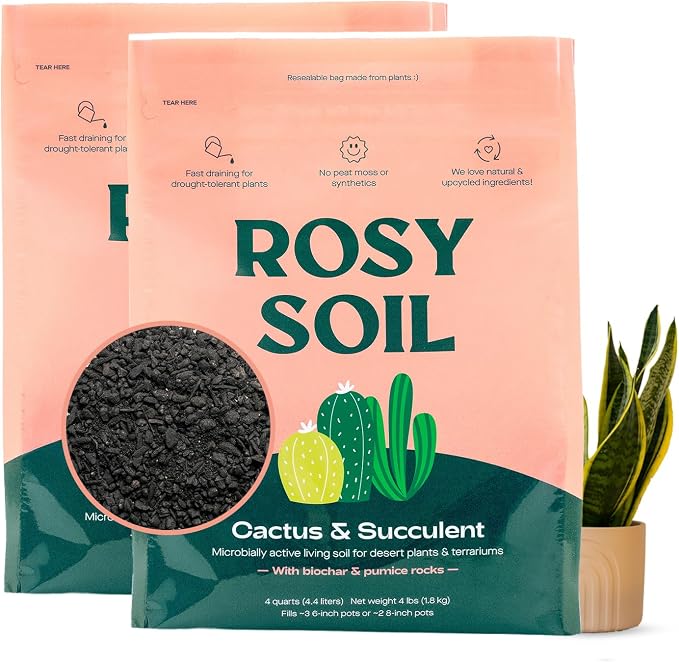 Cactus & Succulent