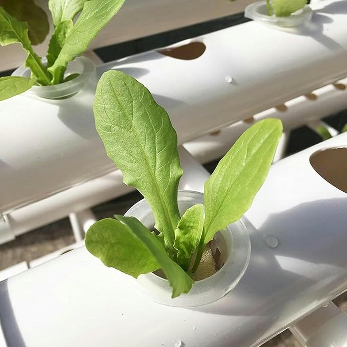 __DEFAULT__