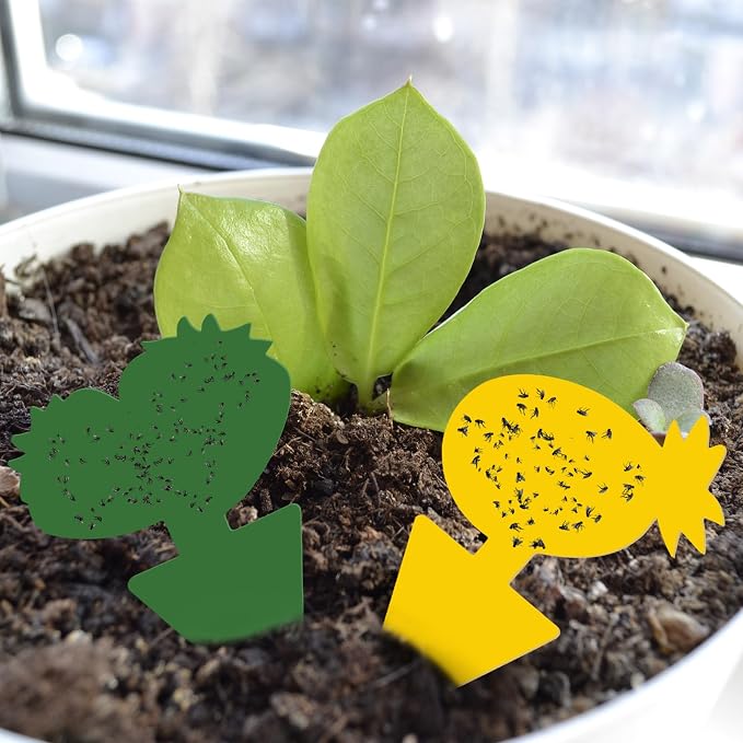 Yellow, Green