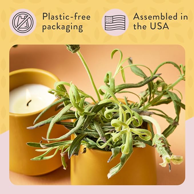 2-Pack Lavendar & Cedarwood