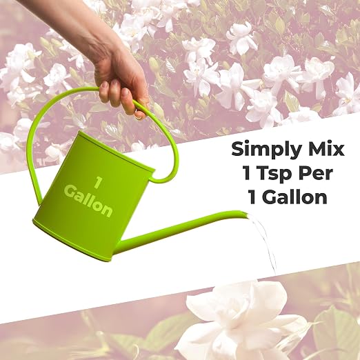 Gardenia Fertilizer
