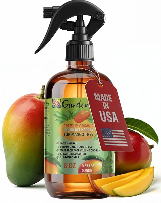 MANGO TREE