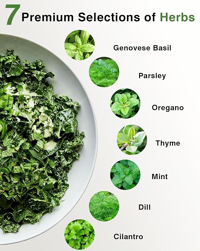 Herb