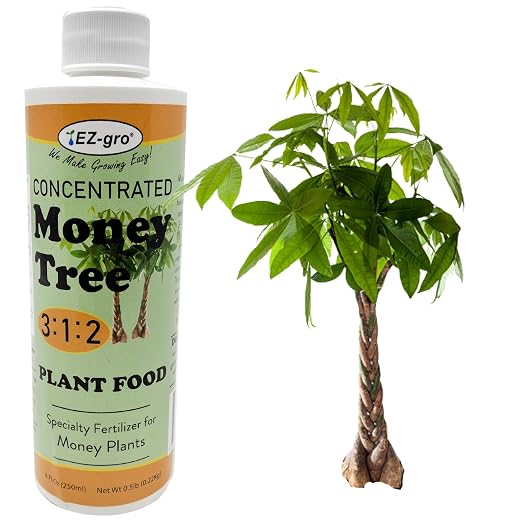 Money Tree
