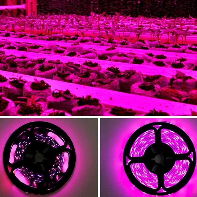 Waterproof (A) 4 Meters Light Strip
