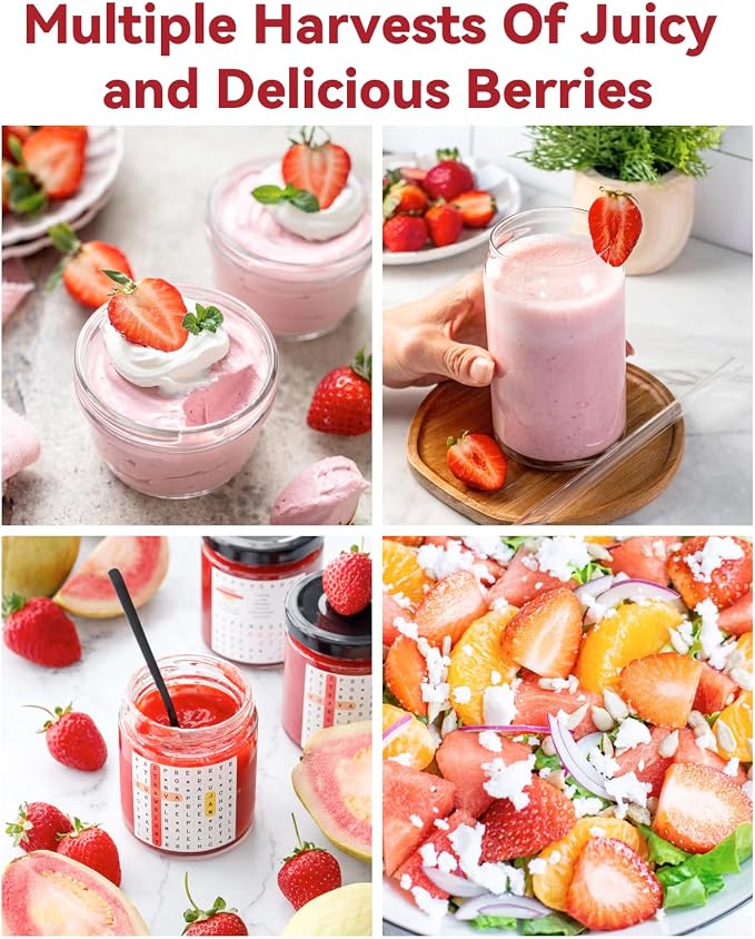 Strawberry
