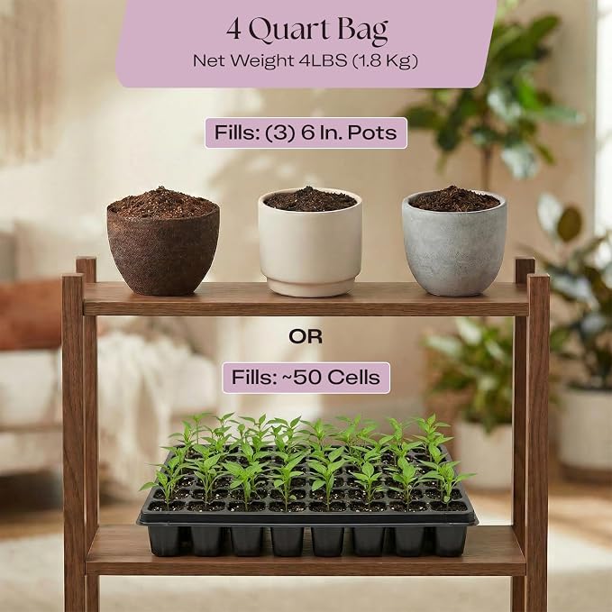 Seedling