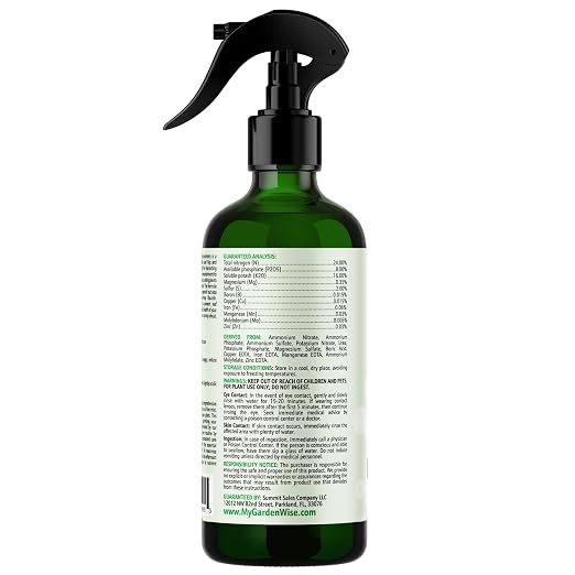 Fiddle Leaf Fig Spray 3-1-2