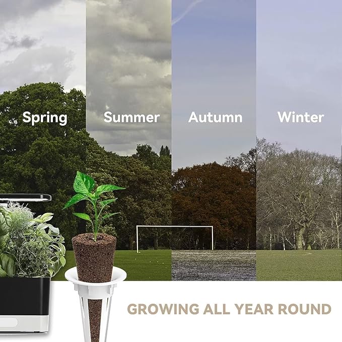 Wild Flower