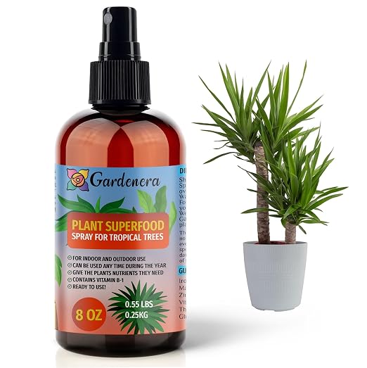 TROPICAL Plants Superfood