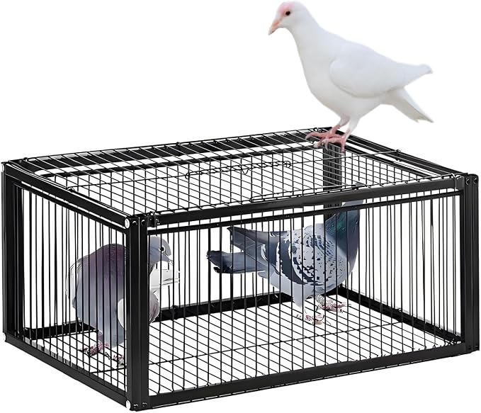__DEFAULT__