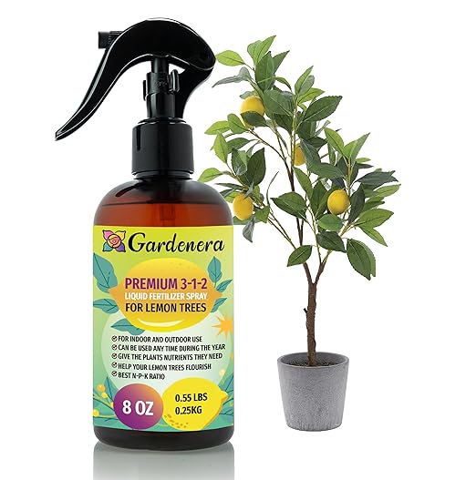 LEMON TREE