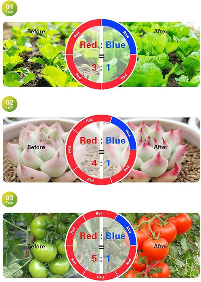 Red:blue=3:1 5m Set