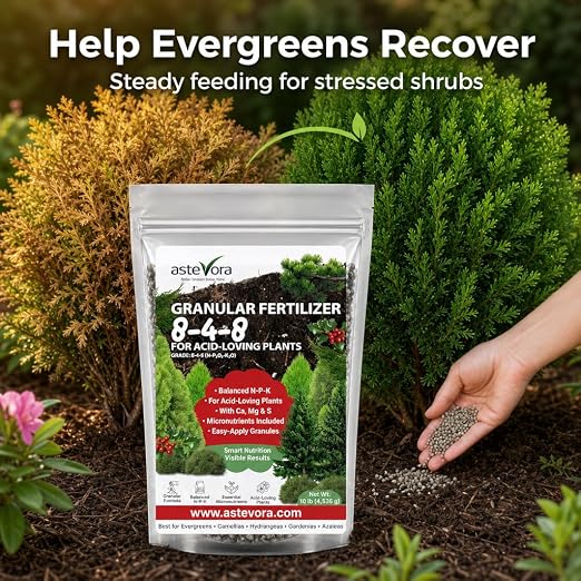 Evergreen Fertilizer