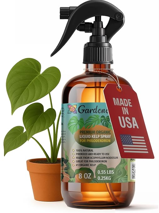 PHILODENDRON