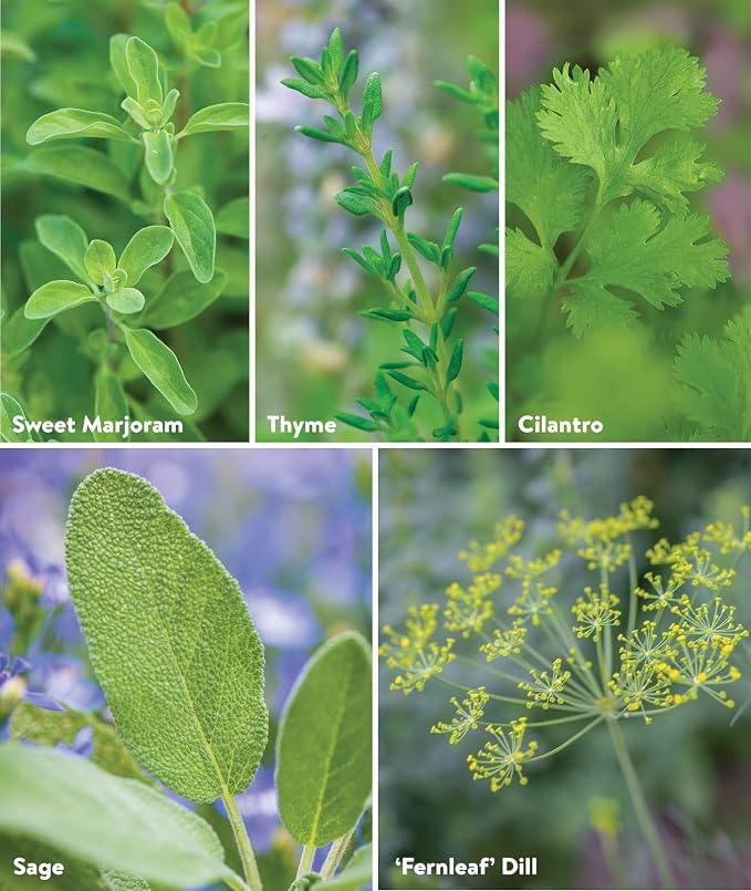 Culinary Classics Herb Collection