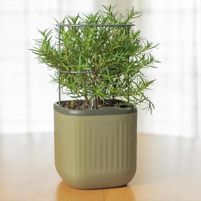 Sage Green