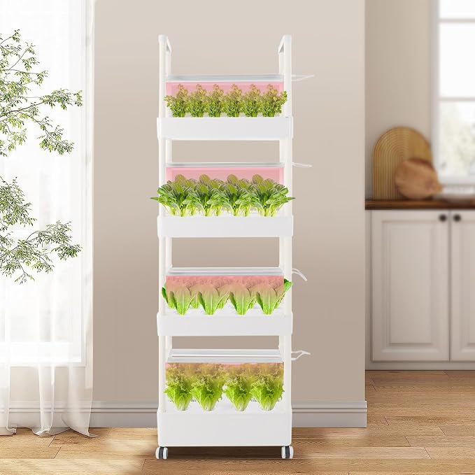 4 Layer 56 Pods