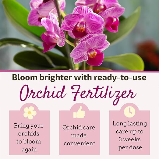 Orchid Fertilizer