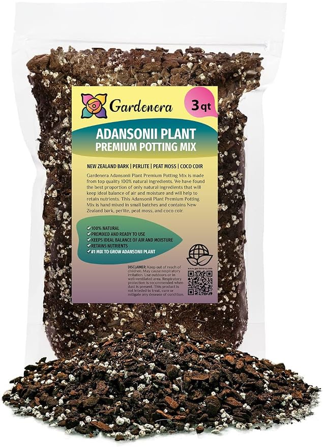 Monstera Adansonii Potting Mix