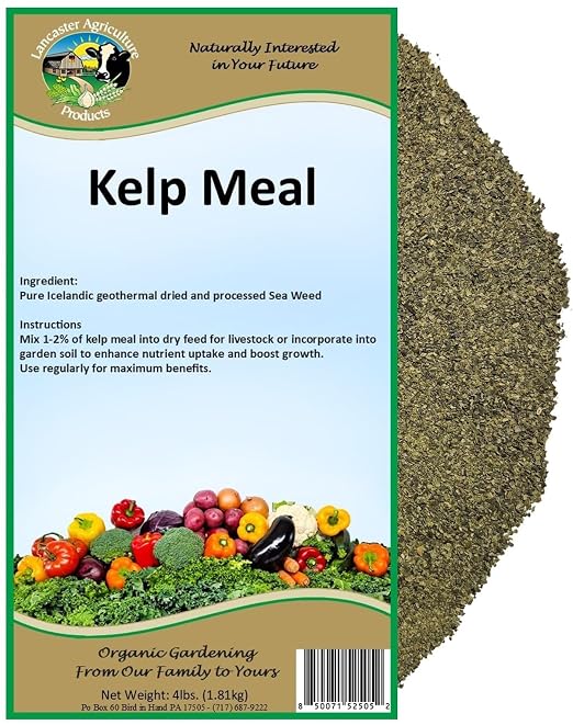 Kelp Meal