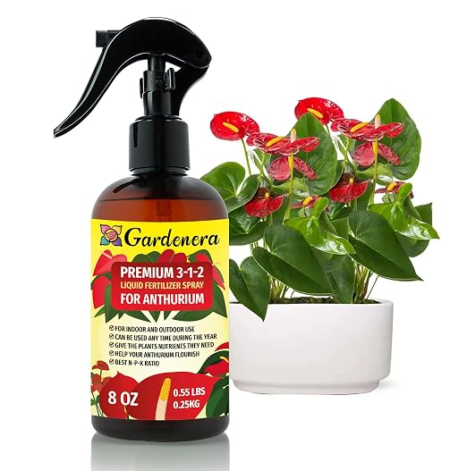 ANTHURIUM