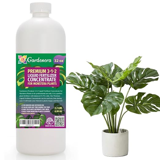 MONSTERA