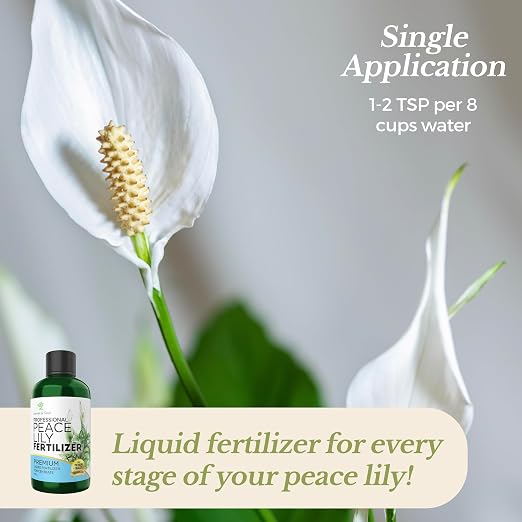 Peace Lily