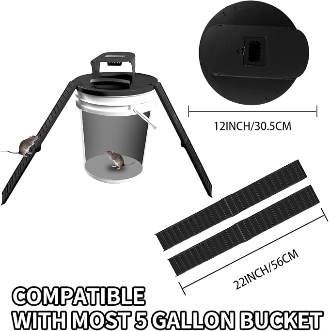 4 Pack - Black