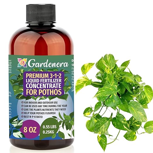 POTHOS