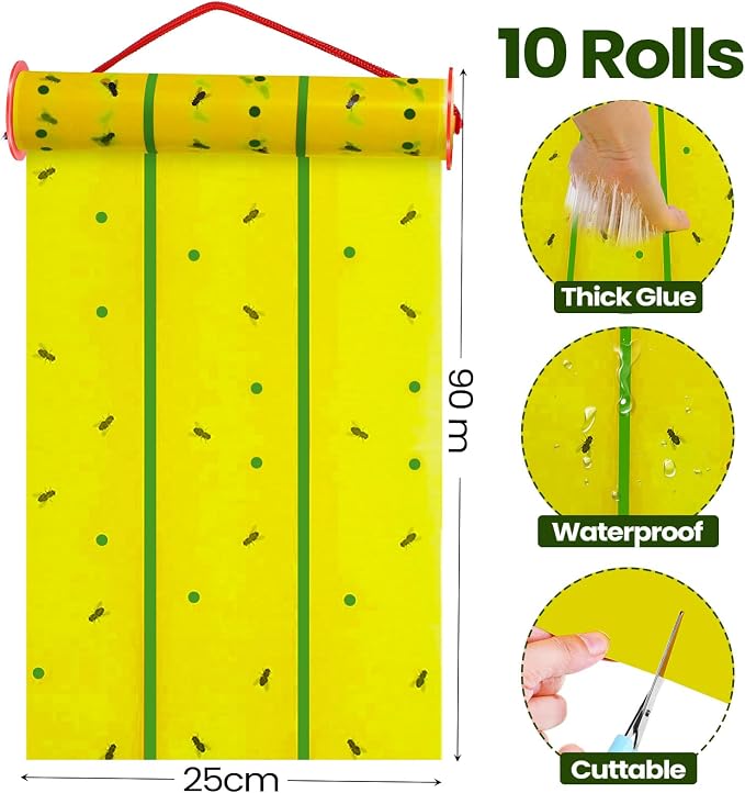 Yellow and Green