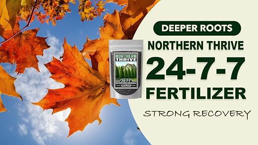Northern Thrive