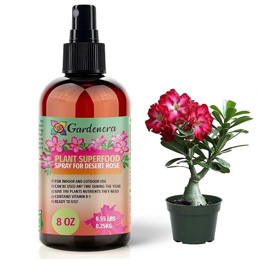 DESERT ROSE Plants Superfood